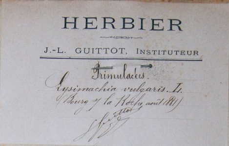 Etiquette de l'Herbier Guittot